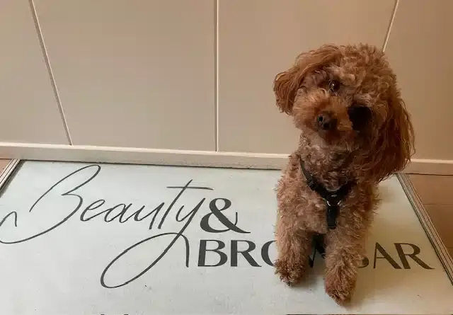 Salonhond Marley zit op de deurmat met het logo van Beauty & Browbar.
